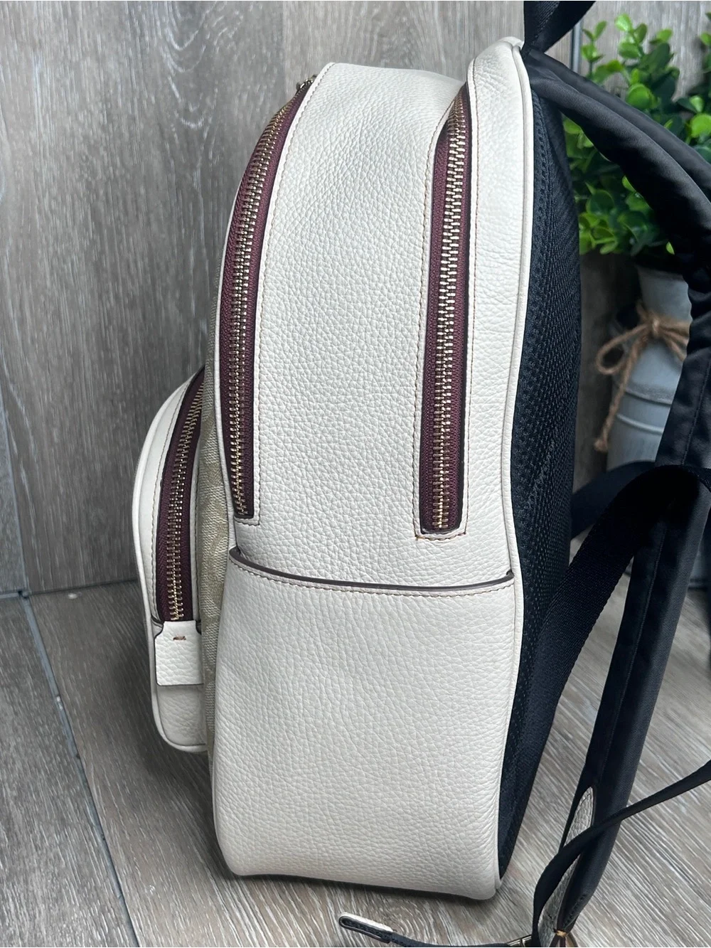 Coach Signature Canvas Tiger Backpack • Limited Edition Print • Beige & White